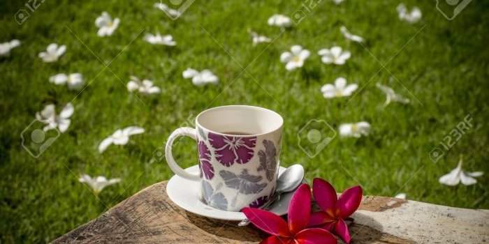 Pause-café estivale !