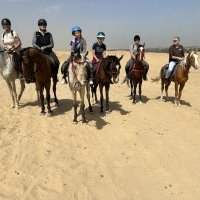 Balade à cheval dans le désert de Saqqarah