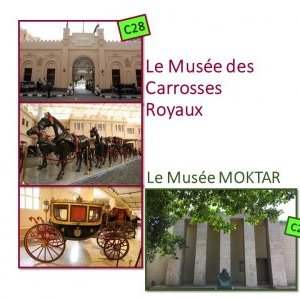 C28_MUSEE DES CARROSSES ROYAUX ET MUSEE MOKTAR